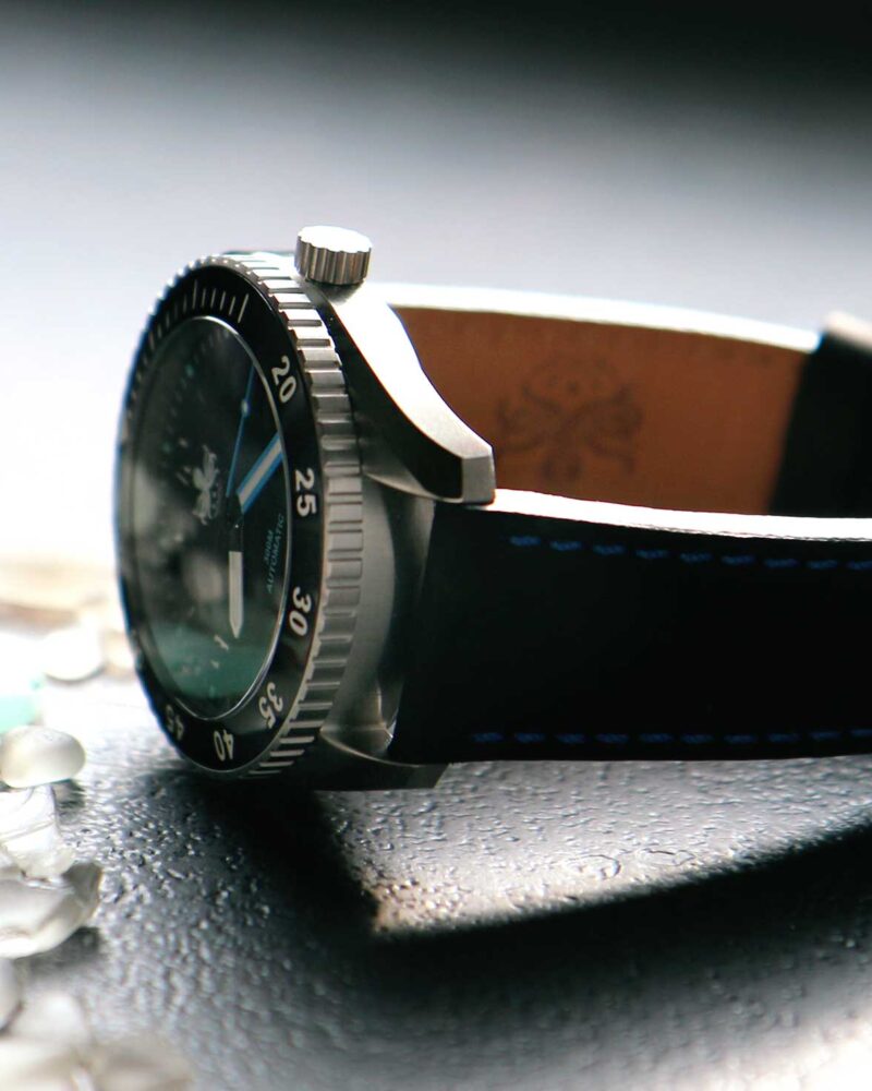 ぴお Phoibos Reef Master Microbrand Dive Watch (Ref: PY016C) | KeepTheTime