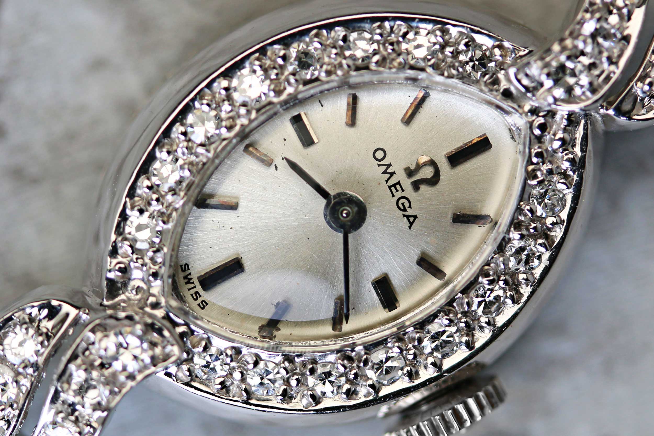 knee length dresses for ladies Omega Seamaster Ladies  Analog:Shift